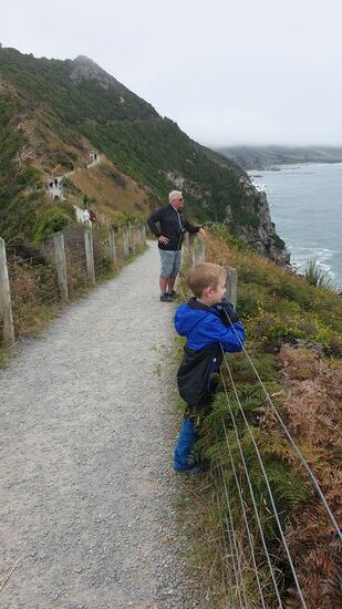 Noch ein Blick zu den Pezronne, und den Kormoranen, dann gehts weiter 