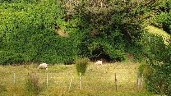 Blick aus dem Schlafzimmerfenster 