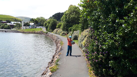 Am Weg zu Spielplatz 2