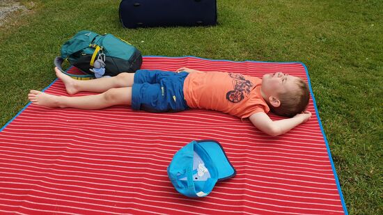 Verdiente Mittagsruhe des Nachwuchs ...