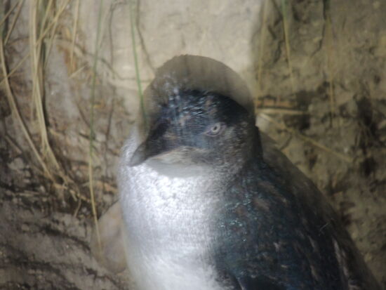 Auf gehts zu den Jungen, die haben schon Hunger ...