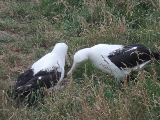 Na, wie wäre es mit uns?! Also, du sitzt schon auf einem Ei, schade 
