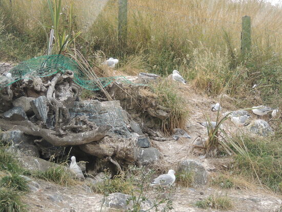 ... und sie sind überall.