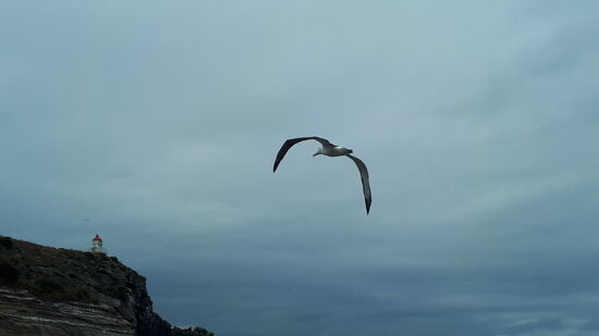 Den Leuchtturm im Visier 