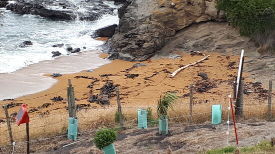 Revitalisierung und Besucherstrom-Lenkung