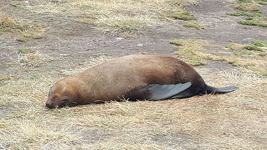 Noch sooo weit bis zum Wasser . Puh!