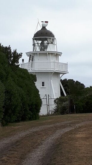 Katiki Point, vor 7 Jahren noch ein Geheimtipp, jetzt wohlbekannt und gut besucht