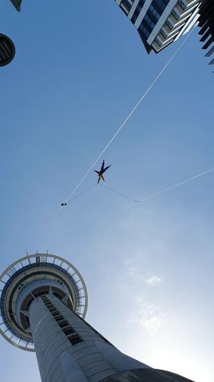 Sky Tower Diver