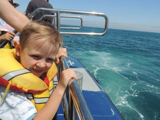 Daniel beobachtet aus der ersten Reihe 