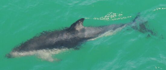 Es sind soooo viele!!!