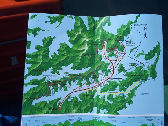 Wir fahren - weil Freitag ist - die gelbe Route 