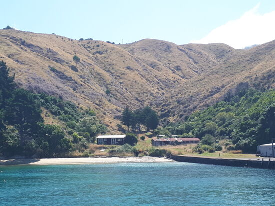 Te Awaiti Bay