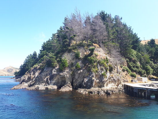 Das Reich der Pelzrobben