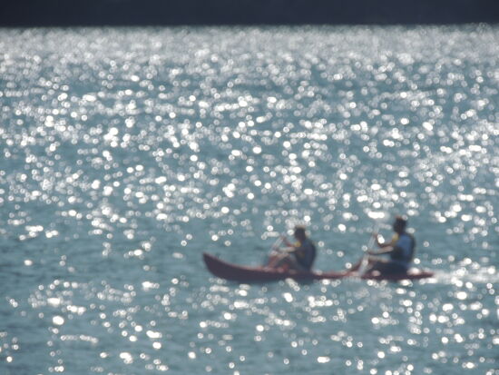 Sea Kayaking im Queen Charlotte Sound