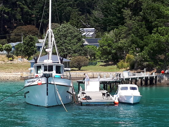 Tierische Freude, dass wir kommen 