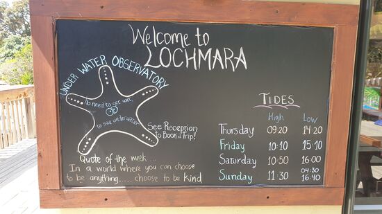 Ein tolles Zitat der Woche, finden wir 