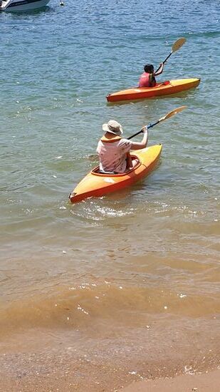 Kayak - Ausflug zu einer Kolonie Shags am anderen Ufer der Bucht