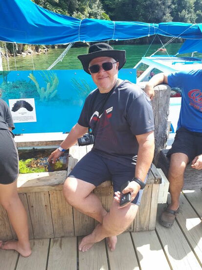 Seepferdchen im Touch Tank (für die gilt aber ein strenges "Berühren verboten!")