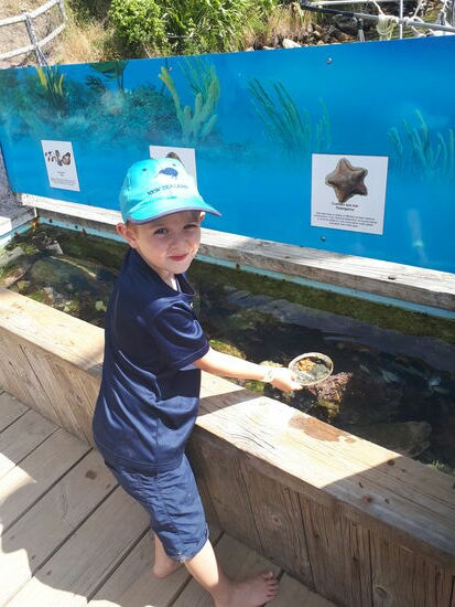 Das Meer be"greifen"