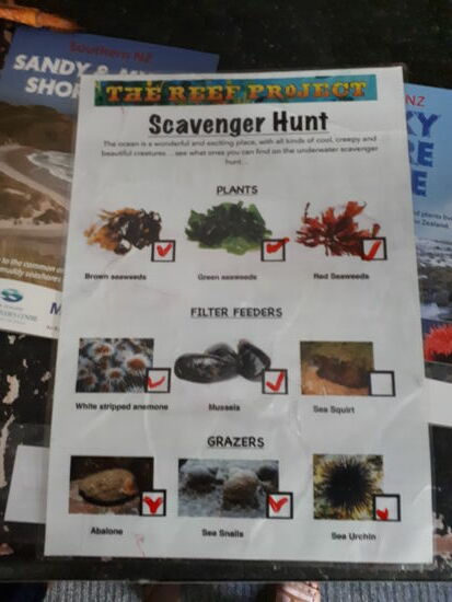 Schatzsuche / Schnitzeljagd