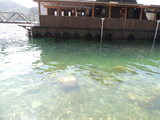 Das Unterwasser - Observatorium