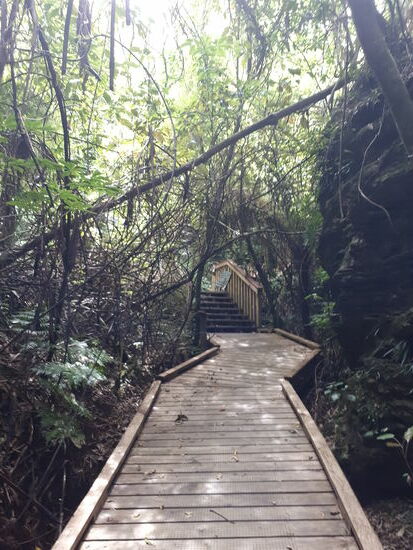 Wir erkunden das Umland der Lodge