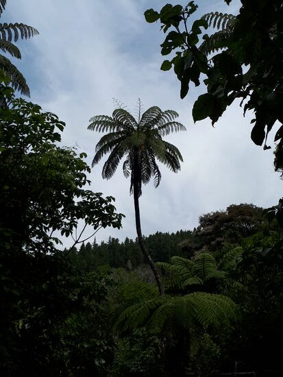 Grün, grüner, Lochmara 