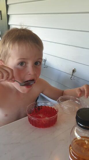 Mittags-Jelly