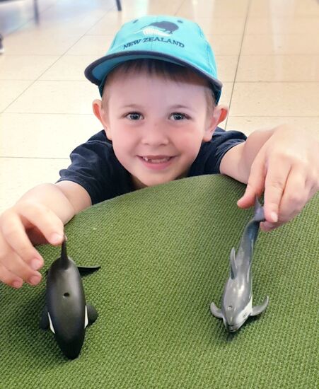 Abschiedsgeschenk  (Orka und Husky Dolphin) - auf Wiedersehen, Christchurch!!!