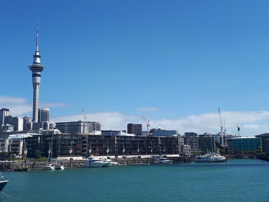 Waterline vom Wynyard Quarter aus