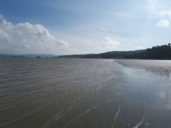 Kawhia S-Cape Beach, da ist er der Pazifik 