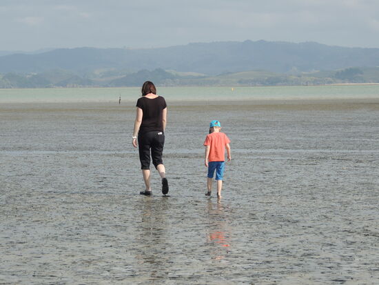 Gmeinemsame Suche nach dem Meer ...