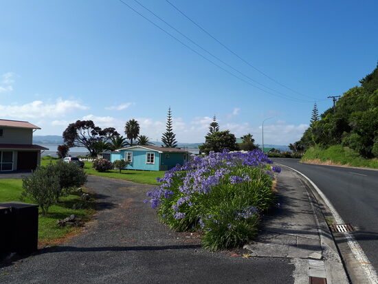 Pflanzliche Vielfallt ...