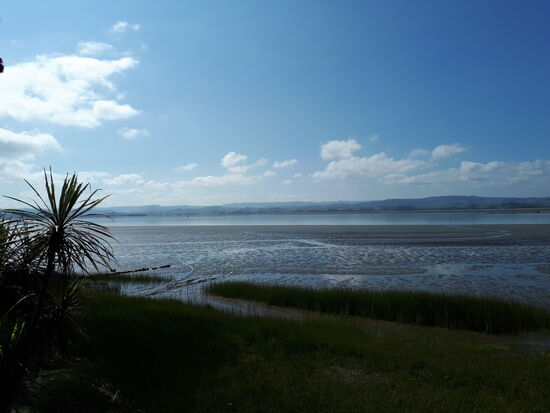 Kawhia S-Cape Beach