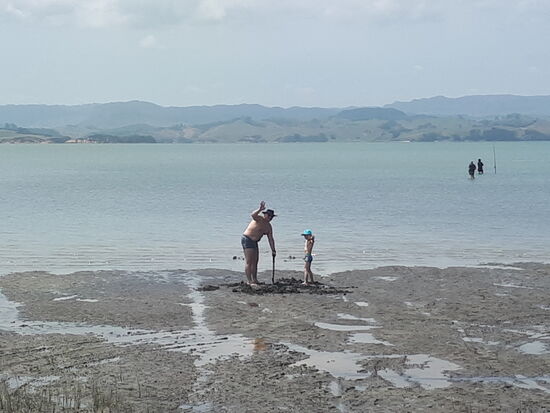 Bevor die Flut kommt ...