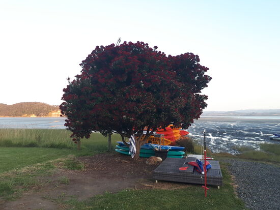 Sunset in Kwahia (3)