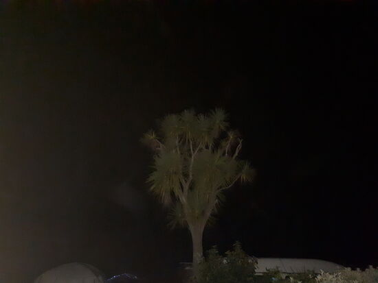 Warten auf den Jahreschwechsel. Zugegebenermaßen komisch, wenn man mit Österreich Kontakt hält und dort gerade das Mittagessen vorbereitet wird, Silvesterläufe absolviert und Silvesterpfade besucht werden.