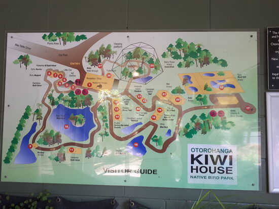 Der Kiwi-Park in Otorohanga.