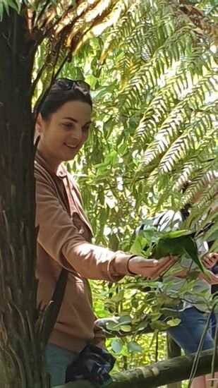 Papageien-Fütterung