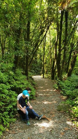 Kurze Pause, um den vielen, vielen Vögeln zu lauschen