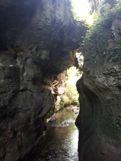 Aber jetzt wirklich , da ist sie die Naturbrücke über die Schlucht