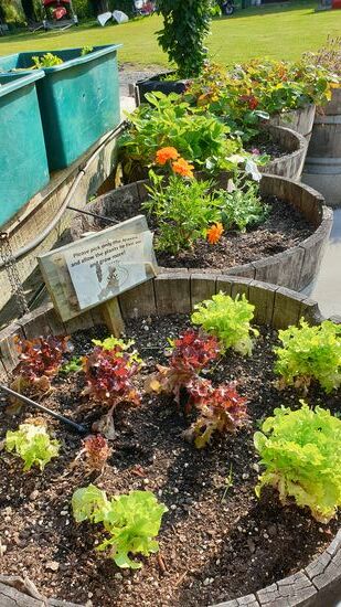 ... unterstützt von Genüse und Kräutern des Campingplatzes ...