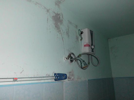 ...mit dickem Schimmel an den Wänden.