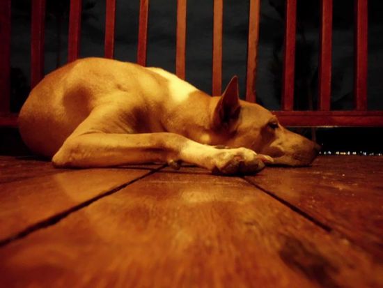 Zufrieden auf unserer Terrasse.