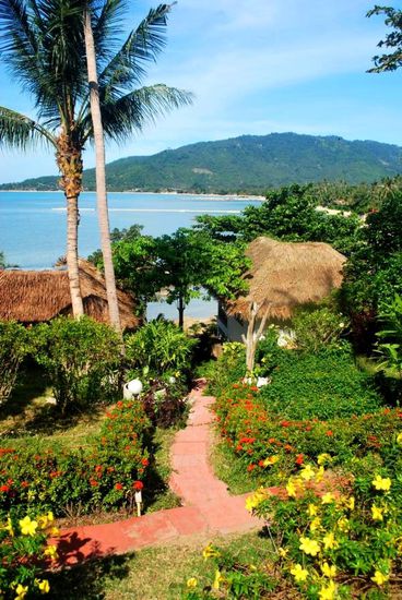 Der Weg runter zum Strand.