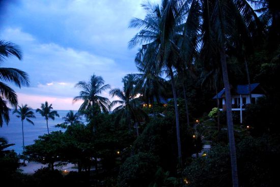 Ausblick vom Bungalow.