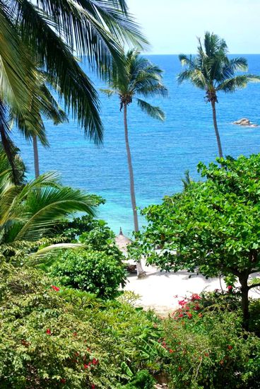 Ausblick vom Bungalow.