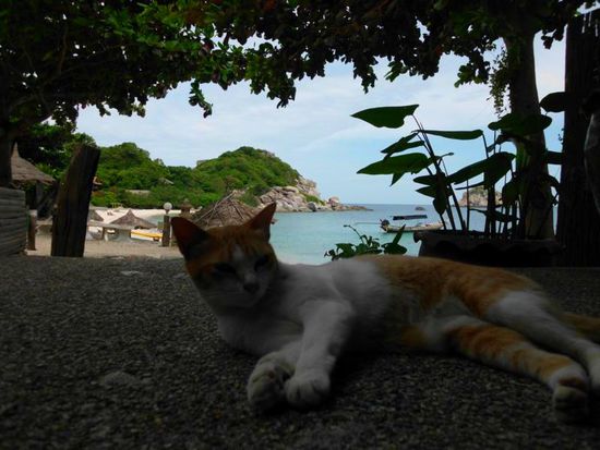 Auch die Tiere finden es hier sehr entspannend...