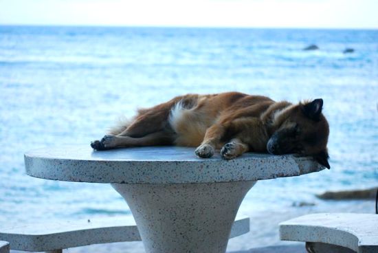 Er hatte wohl das schwerste Los gezogen...