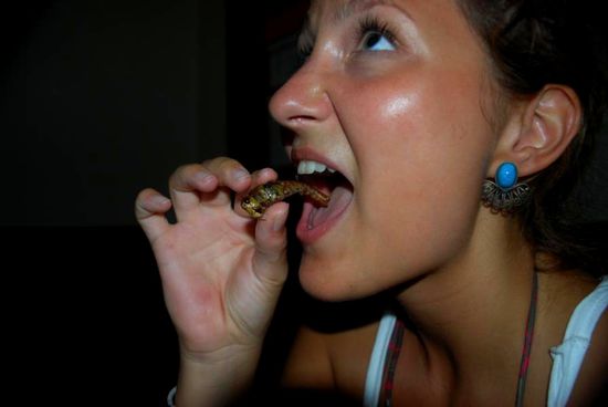 Heuschrecke ohne Sprungbeine, da diese ähnlich wie Fischgräten im Hals stecken bleiben können...